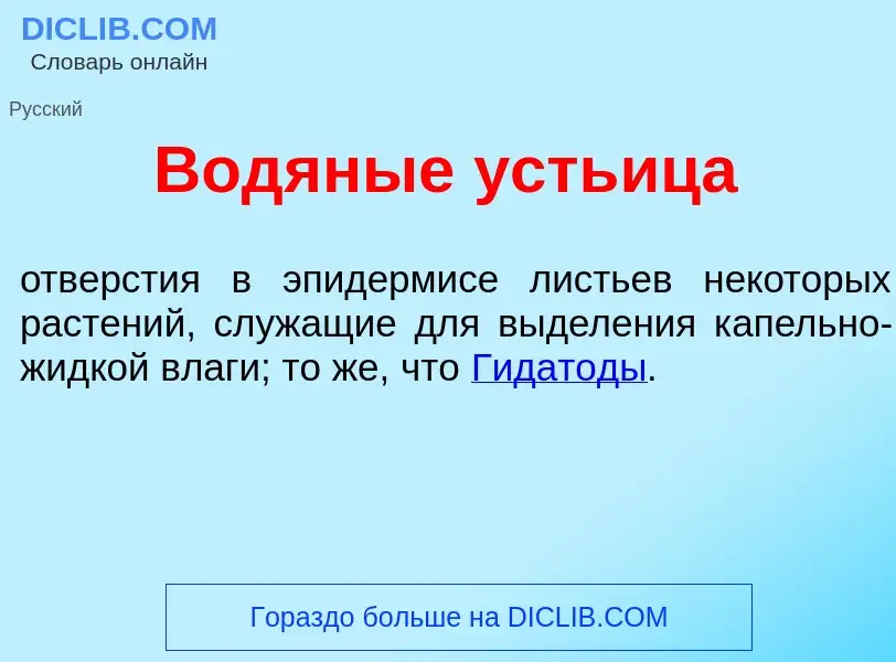 What is Водян<font color="red">ы</font>е <font color="red">у</font>стьица - meaning and definition