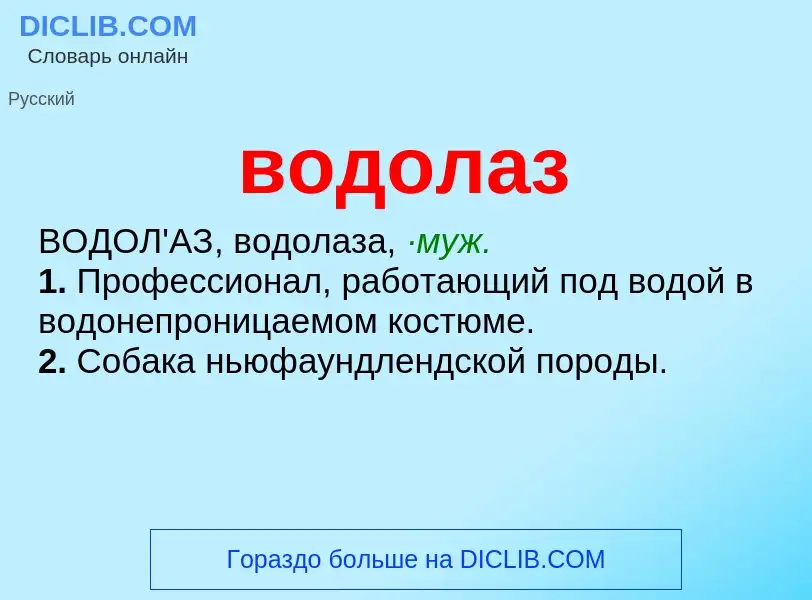 Что такое водолаз - определение