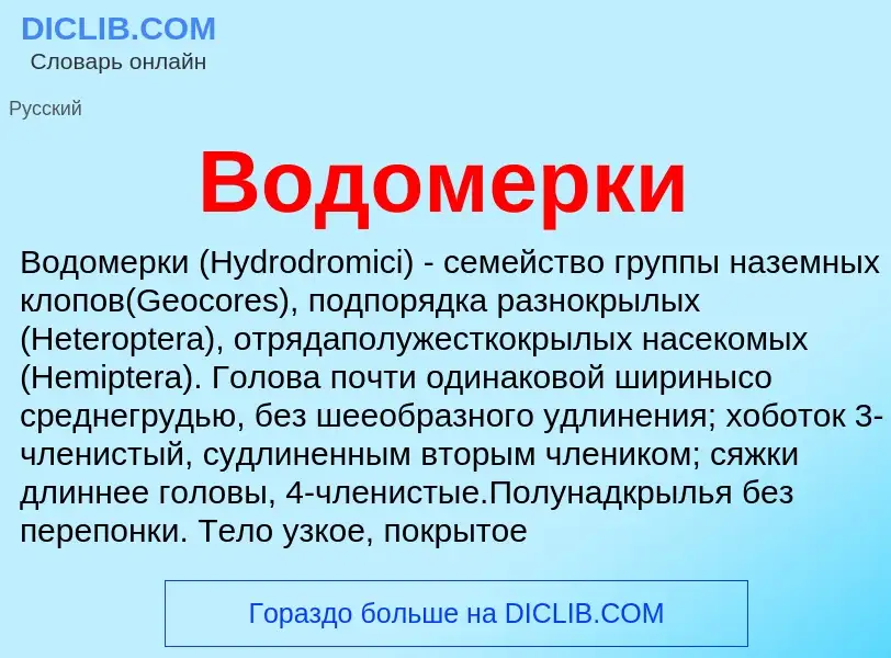 ¿Qué es Водомерки? - significado y definición