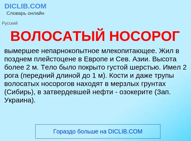 Что такое ВОЛОСАТЫЙ НОСОРОГ - определение