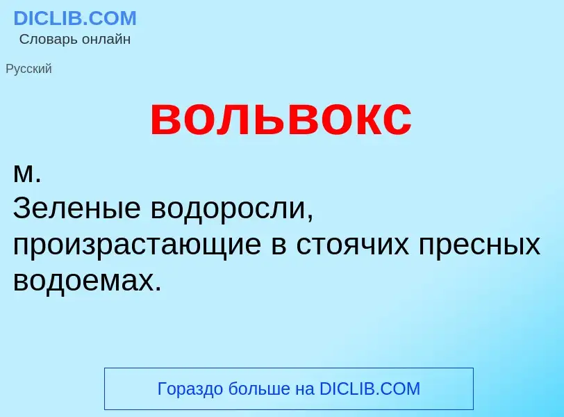 Τι είναι вольвокс - ορισμός