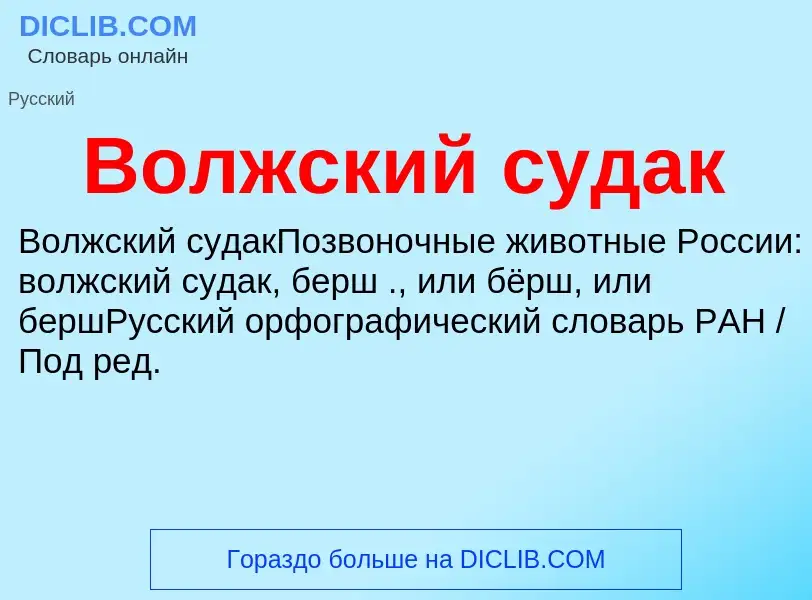 Was ist Волжский судак - Definition