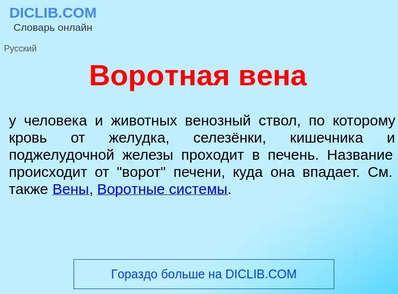 Что такое Вор<font color="red">о</font>тная в<font color="red">е</font>на - определение