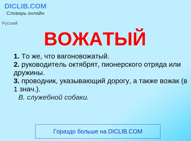 What is ВОЖАТЫЙ - meaning and definition