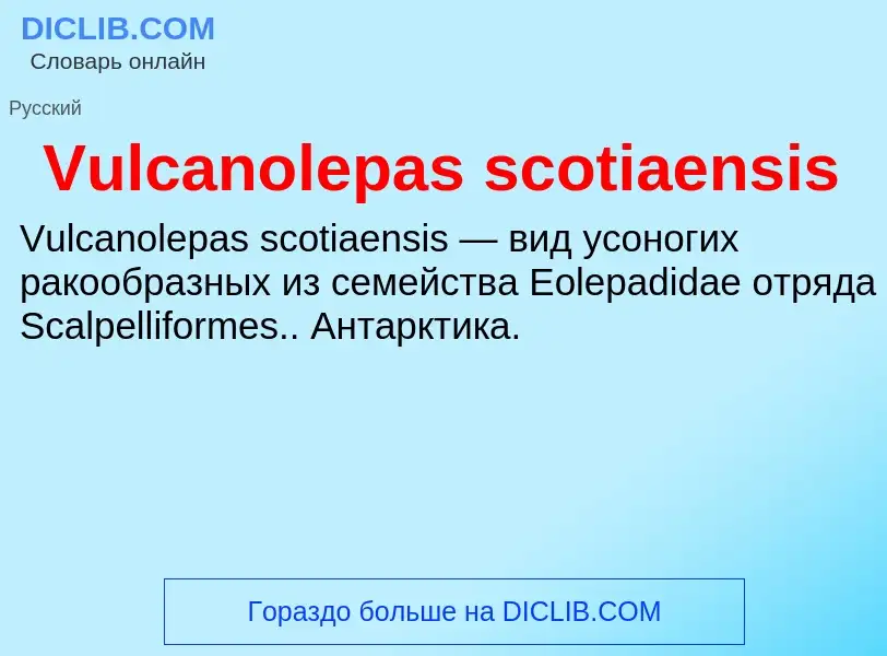 Τι είναι Vulcanolepas scotiaensis - ορισμός