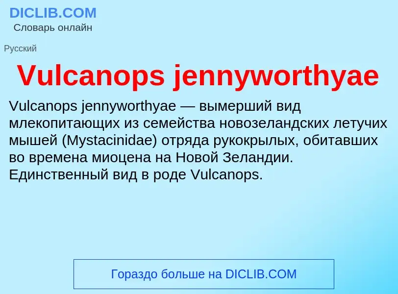 Что такое Vulcanops jennyworthyae - определение