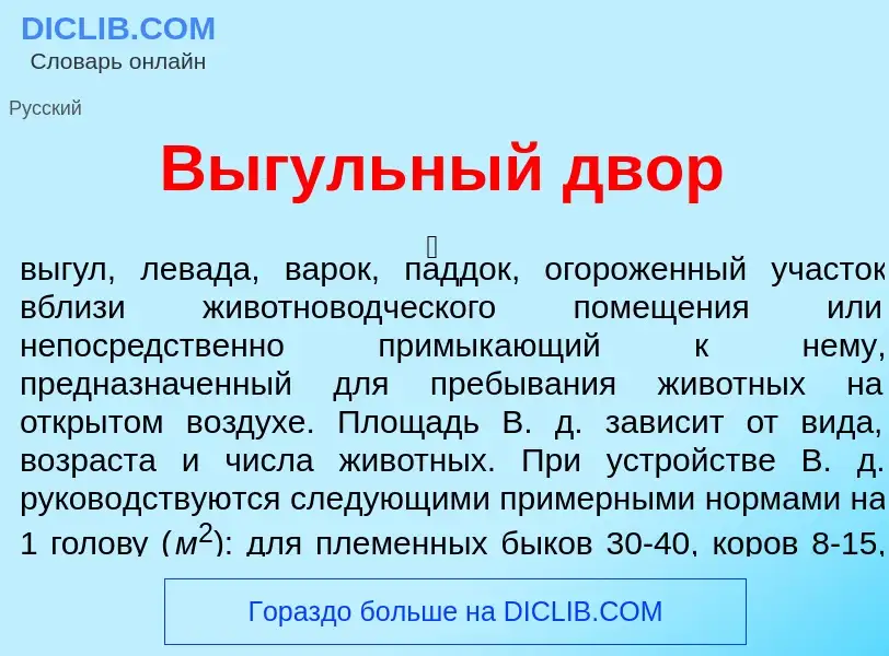 What is В<font color="red">ы</font>гульный двор - meaning and definition