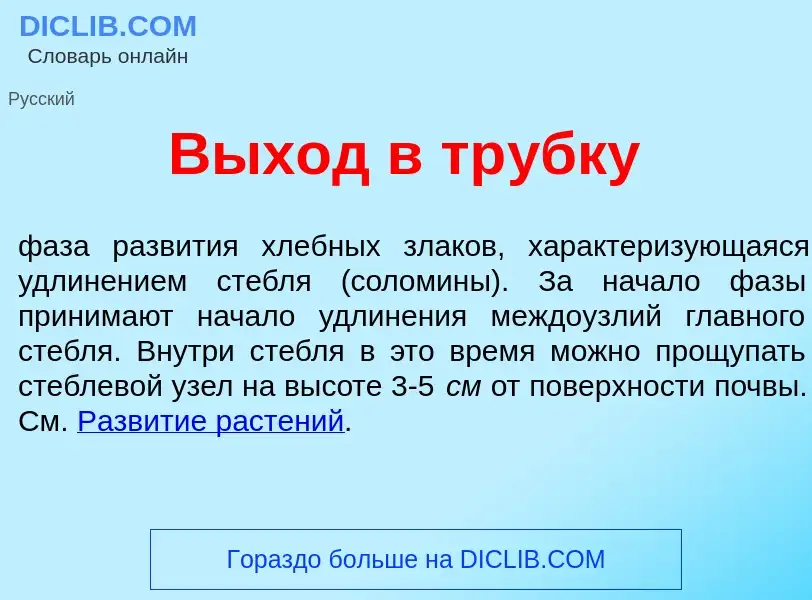 Что такое В<font color="red">ы</font>ход в тр<font color="red">у</font>бку - определение