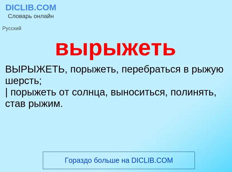 Wat is вырыжеть - definition