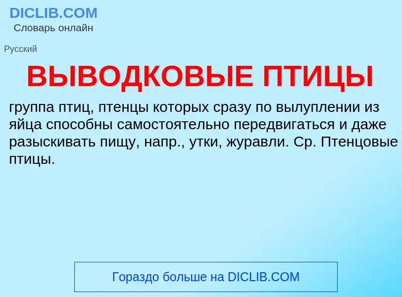 Wat is ВЫВОДКОВЫЕ ПТИЦЫ - definition