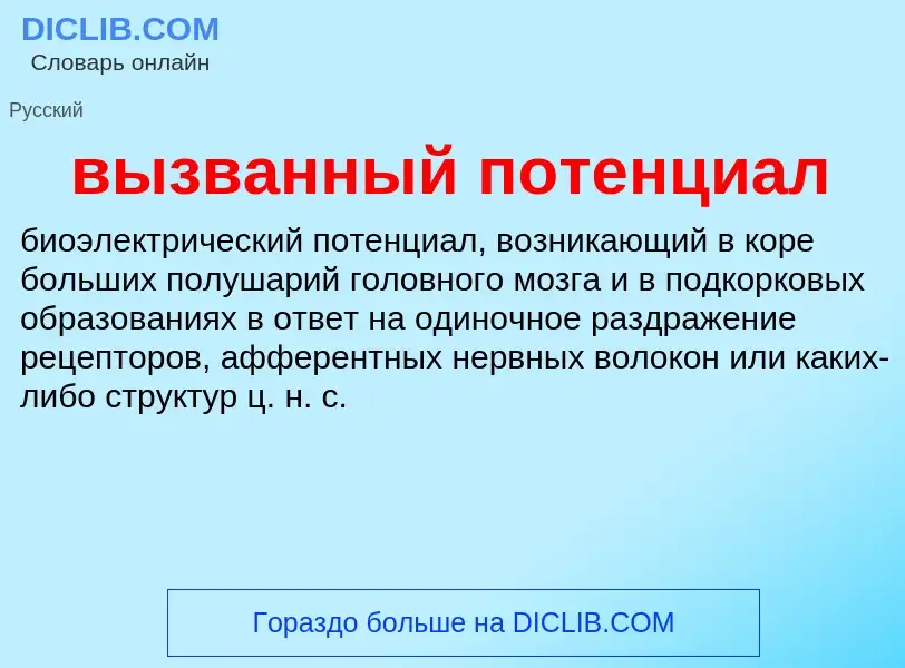 Что такое вызванный потенциал - определение