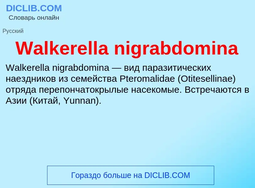 Τι είναι Walkerella nigrabdomina - ορισμός