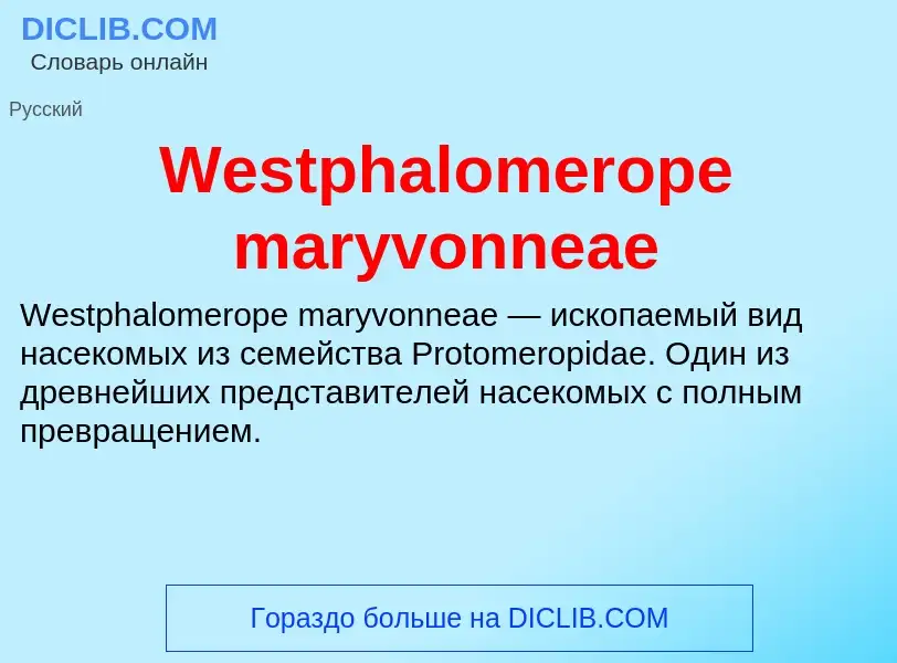 Che cos'è Westphalomerope maryvonneae - definizione