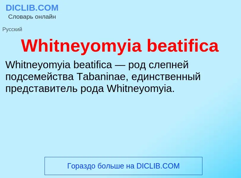 Che cos'è Whitneyomyia beatifica - definizione