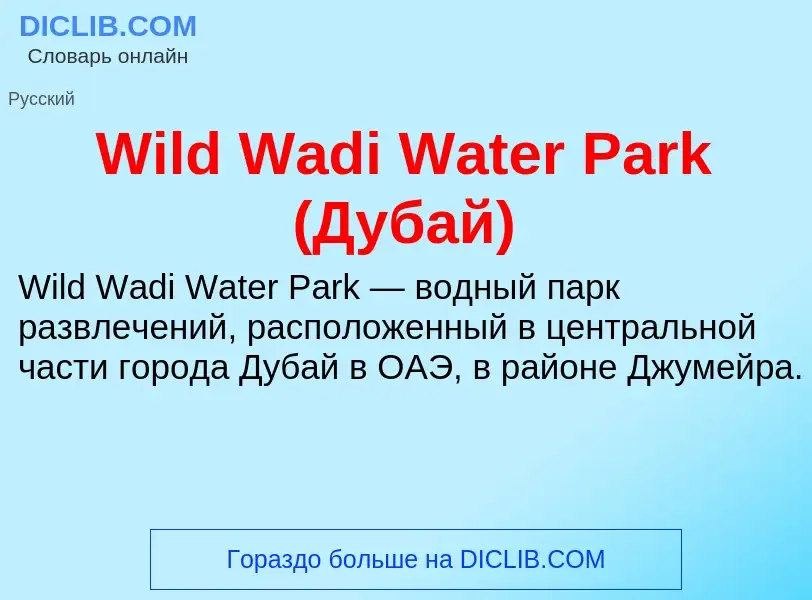 Che cos'è Wild Wadi Water Park (Дубай) - definizione