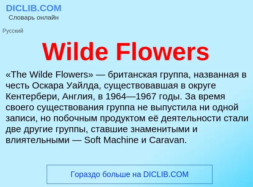 Τι είναι Wilde Flowers - ορισμός