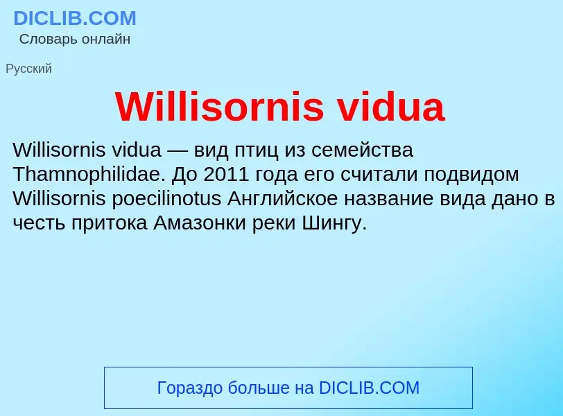 Che cos'è Willisornis vidua - definizione