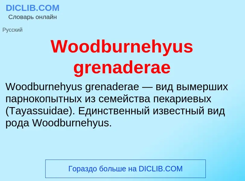 Τι είναι Woodburnehyus grenaderae - ορισμός