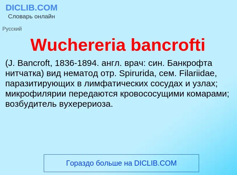 Что такое Wuchereria bancrofti  - определение