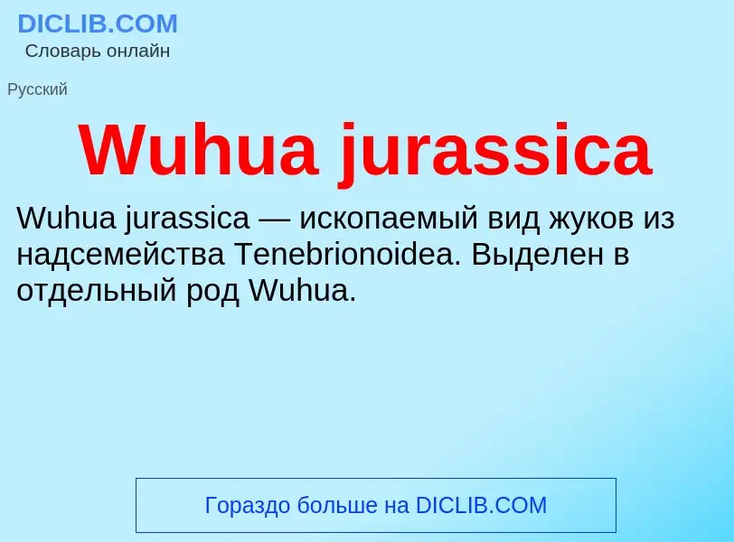 Τι είναι Wuhua jurassica - ορισμός