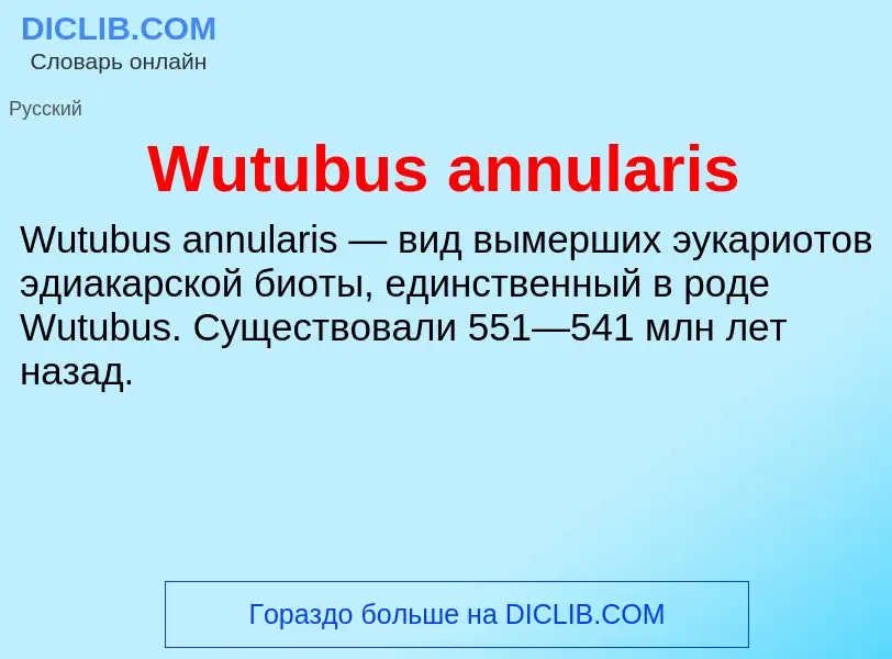 Τι είναι Wutubus annularis - ορισμός