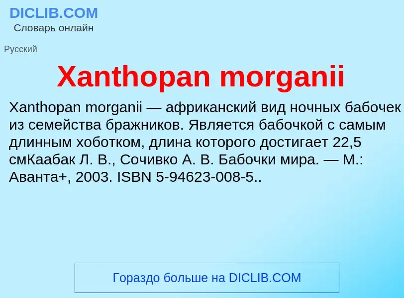 Che cos'è Xanthopan morganii - definizione