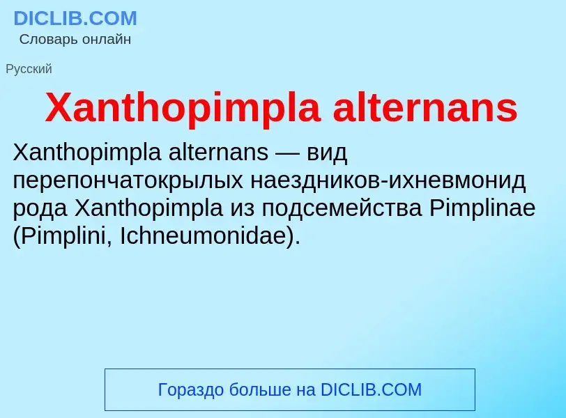 Che cos'è Xanthopimpla alternans - definizione