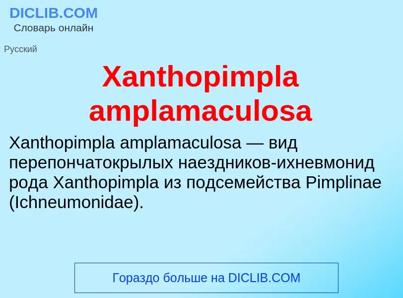 Che cos'è Xanthopimpla amplamaculosa - definizione