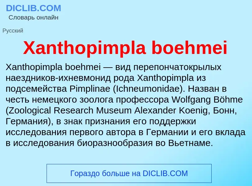 Che cos'è Xanthopimpla boehmei - definizione