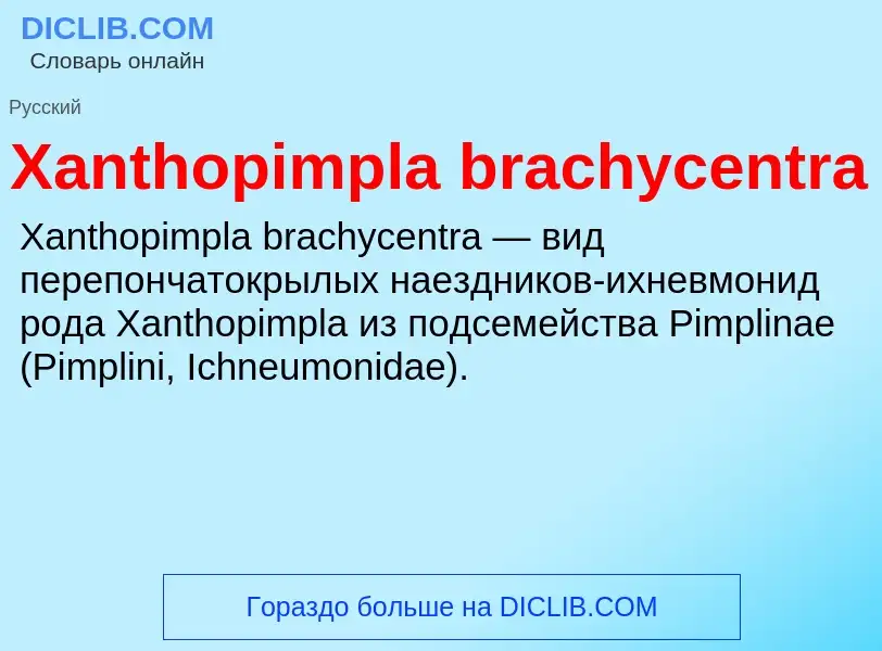 Τι είναι Xanthopimpla brachycentra - ορισμός