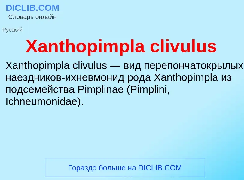 Τι είναι Xanthopimpla clivulus - ορισμός