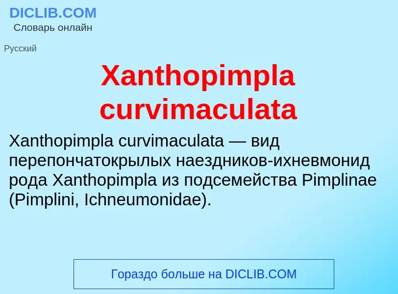 Τι είναι Xanthopimpla curvimaculata - ορισμός