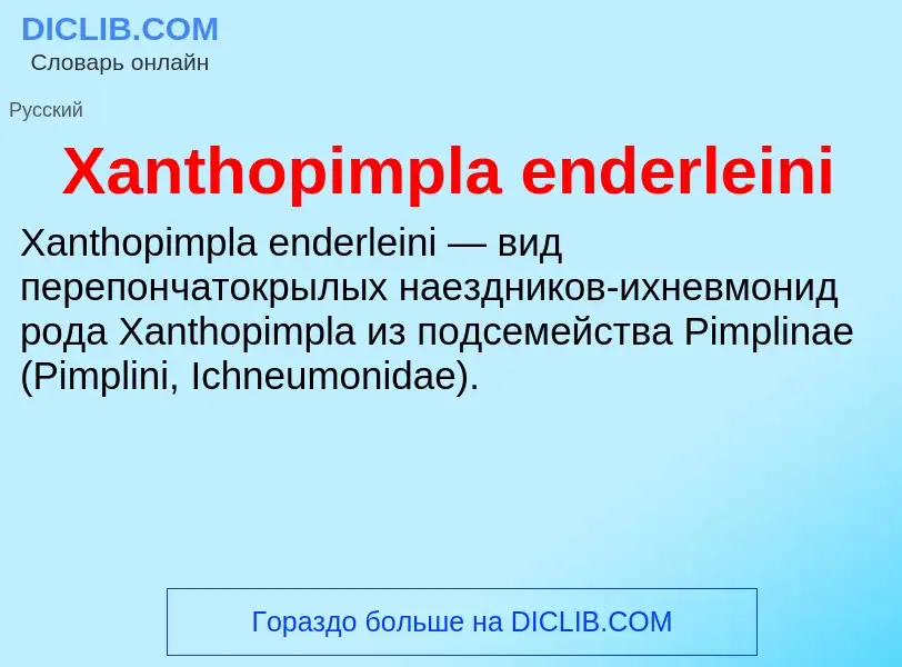 Τι είναι Xanthopimpla enderleini - ορισμός