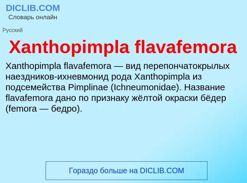 Τι είναι Xanthopimpla flavafemora - ορισμός