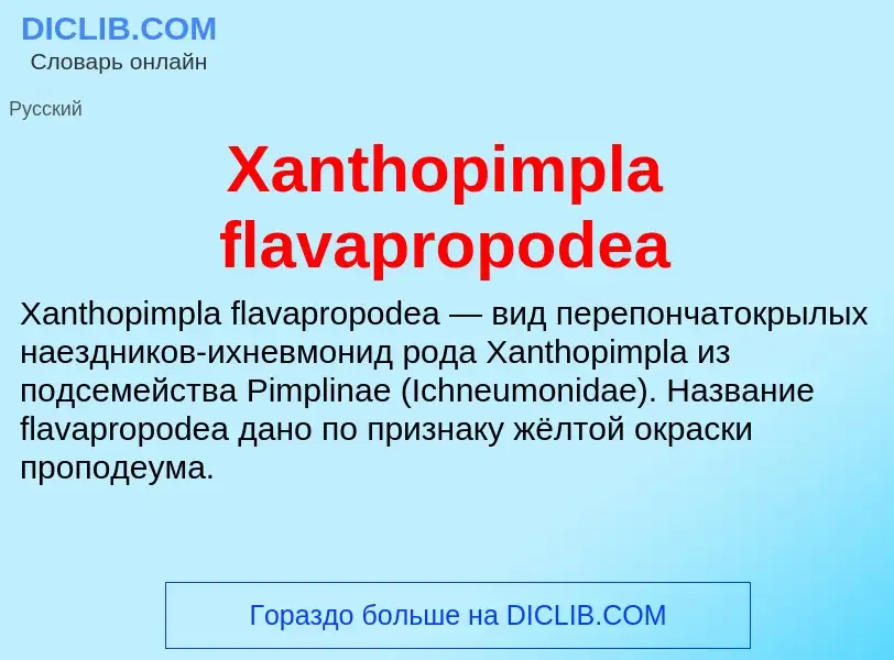 Che cos'è Xanthopimpla flavapropodea - definizione