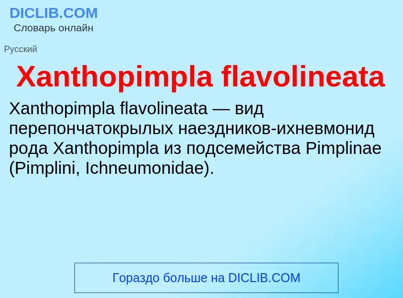 Τι είναι Xanthopimpla flavolineata - ορισμός