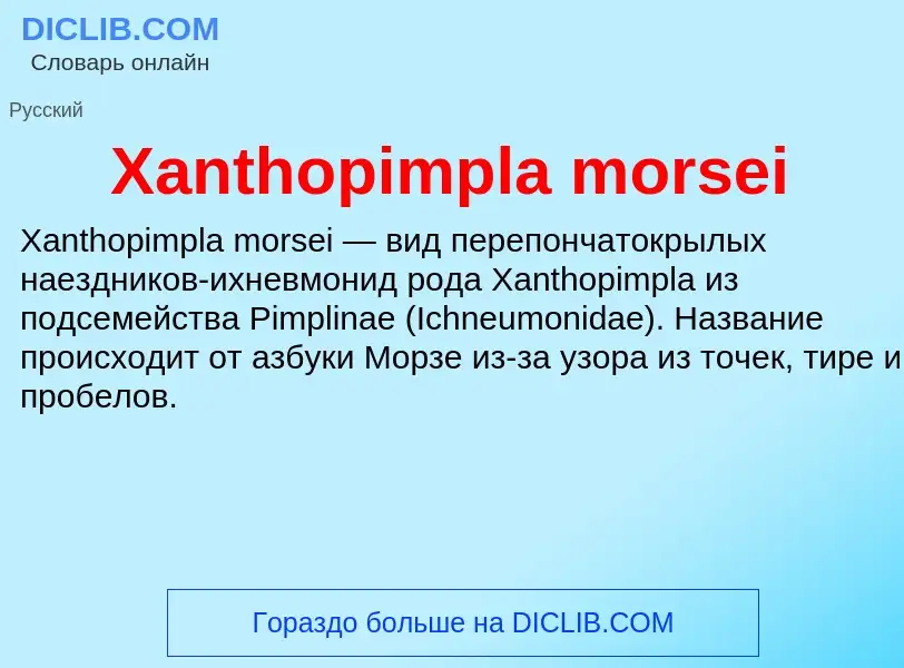 Τι είναι Xanthopimpla morsei - ορισμός