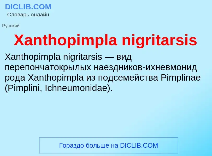 What is Xanthopimpla nigritarsis - meaning and definition