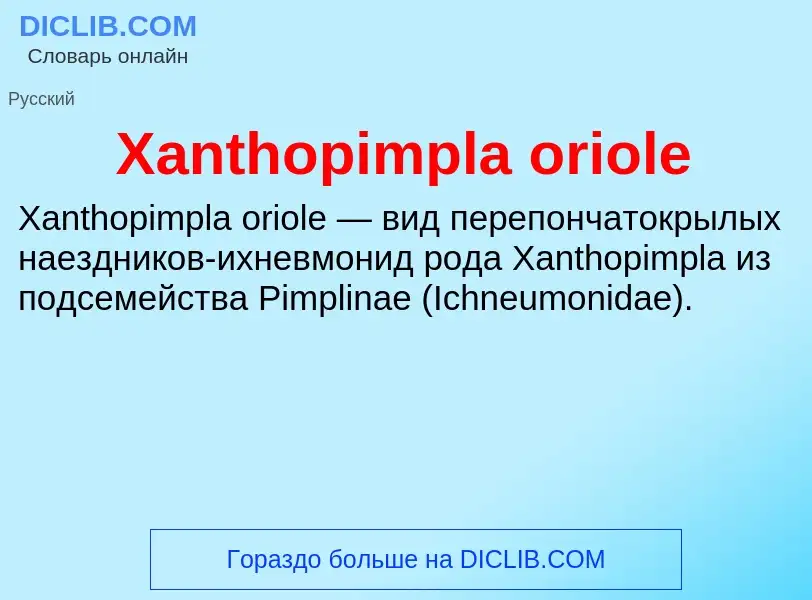 ¿Qué es Xanthopimpla oriole? - significado y definición