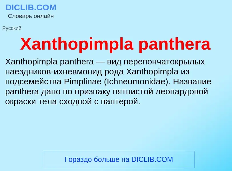 Che cos'è Xanthopimpla panthera - definizione