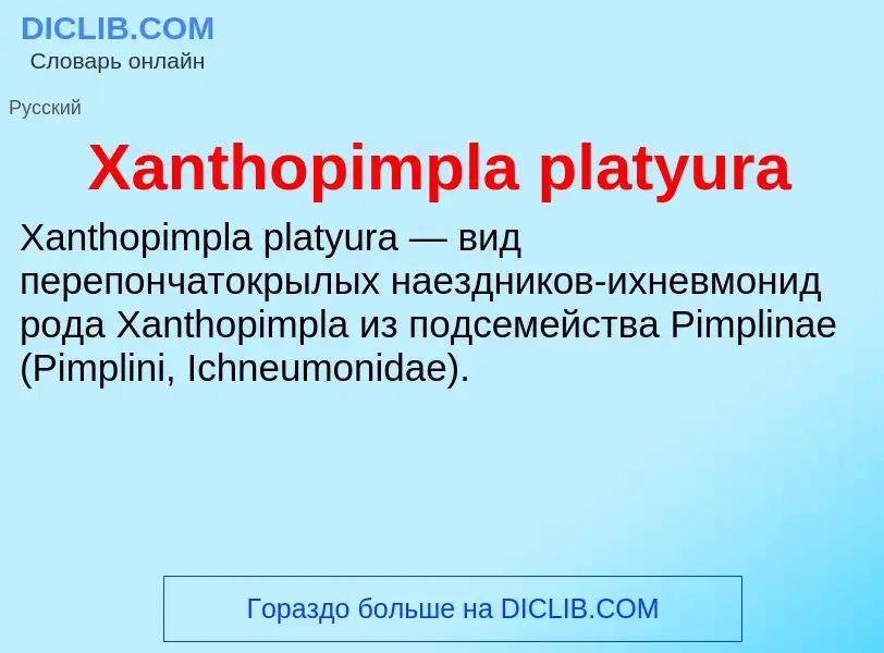 What is Xanthopimpla platyura - meaning and definition