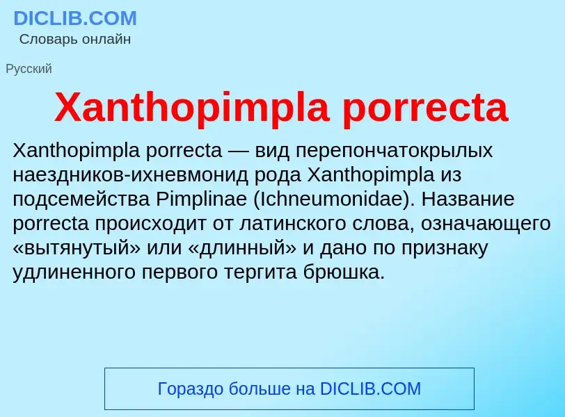 Che cos'è Xanthopimpla porrecta - definizione