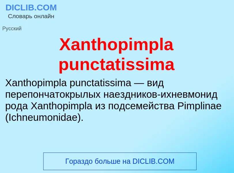 What is Xanthopimpla punctatissima - meaning and definition