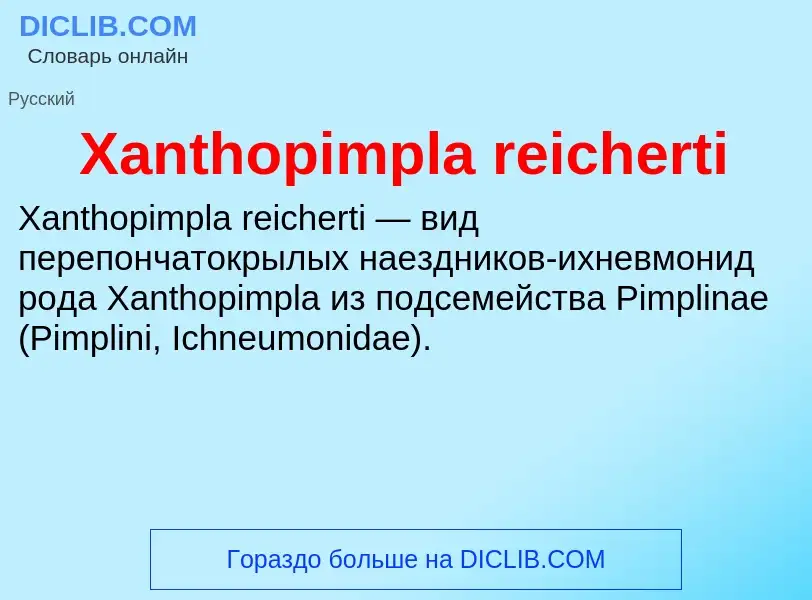 Che cos'è Xanthopimpla reicherti - definizione