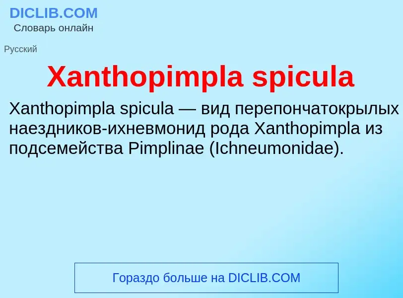 Che cos'è Xanthopimpla spicula - definizione