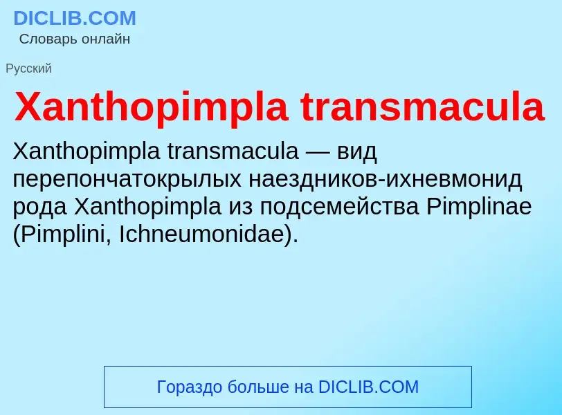 Τι είναι Xanthopimpla transmacula - ορισμός