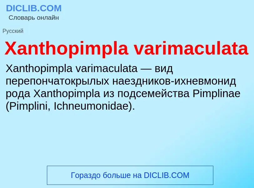 Τι είναι Xanthopimpla varimaculata - ορισμός