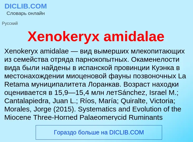 Che cos'è Xenokeryx amidalae - definizione