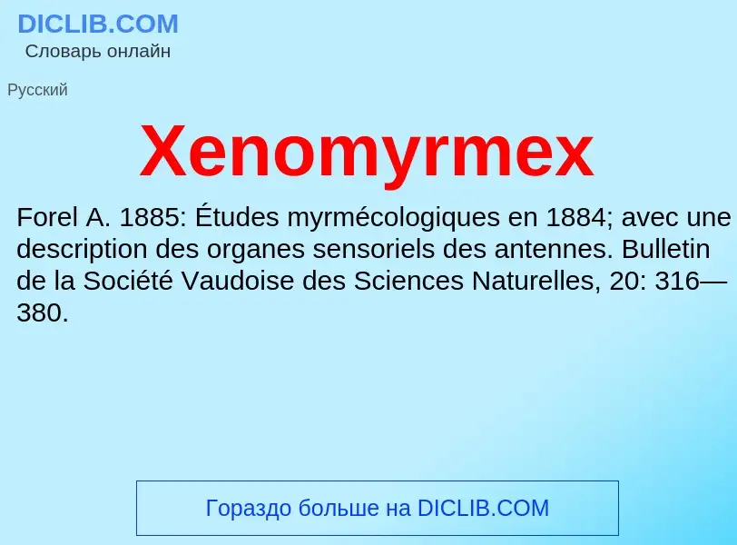 Τι είναι Xenomyrmex - ορισμός