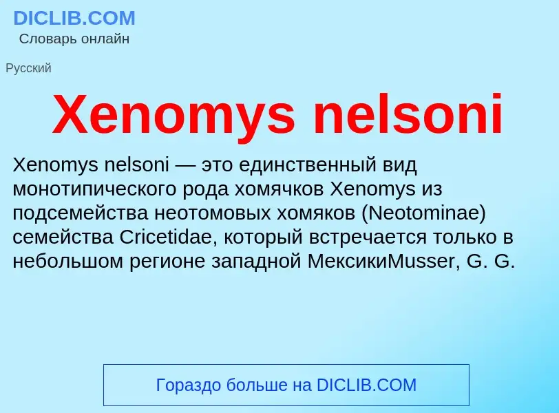 Τι είναι Xenomys nelsoni - ορισμός